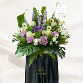 Sympathy Dauphine
